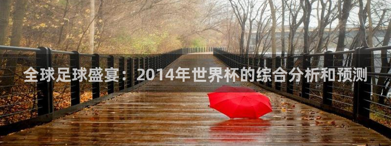 世界杯欧洲区赛程：全球足球盛宴：2014年世界杯的综合分析和预测