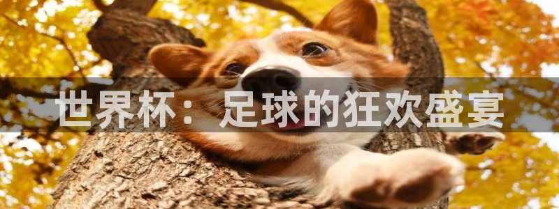 联赛杯直播：世界杯：足球的狂欢盛宴