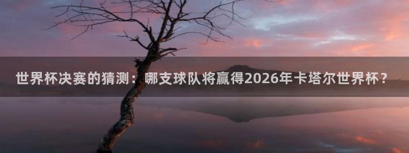 世预赛赛程表：世界杯决赛的猜测：哪支球队将赢得2026年卡塔尔世界杯？