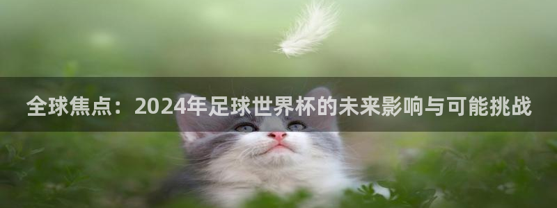2026世界杯日期：全球焦点：2024年足球世界杯的未来影响与可能挑战