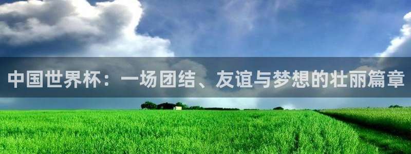 西超杯直播：中国世界杯：一场团结、友谊与梦想的壮丽篇章