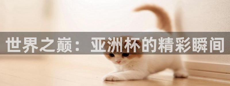 2026男足世界杯：世界之巅：亚洲杯的精彩瞬间