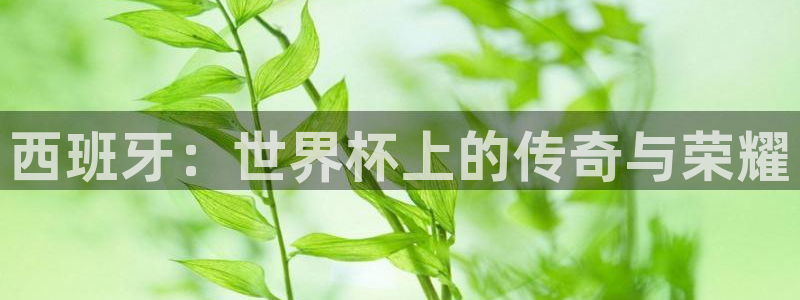 世界杯预选赛赛程时间表：西班牙：世界杯上的传奇与荣耀