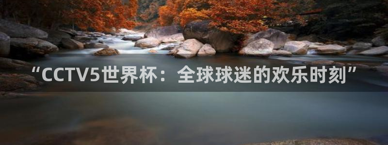 世界杯预选赛亚洲：“CCTV5世界杯：全球球迷的欢乐时刻”