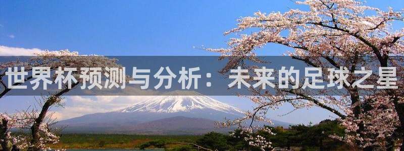 世预赛直播：世界杯预测与分析：未来的足球之星