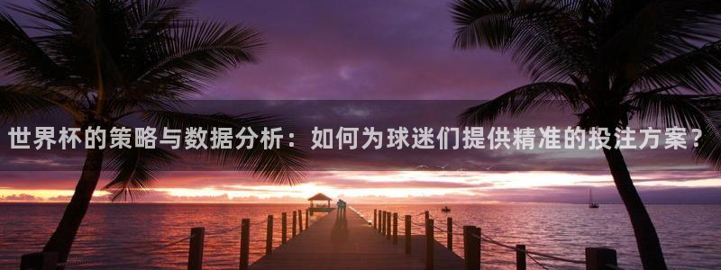 世界杯预选赛2026：世界杯的策略与数据分析：如何为球迷们提供精准的投注方案？