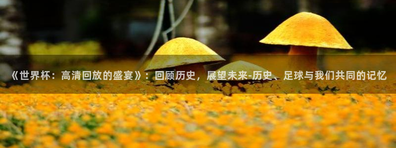 2026男足世界杯赛程：《世界杯：高清回放的盛宴》：回顾历史，展望未来-历史、足球与我们共同的记忆