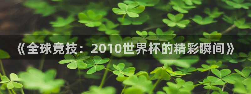 欧洲世界杯预选赛赛程：《全球竞技：2010世界杯的精彩瞬间》