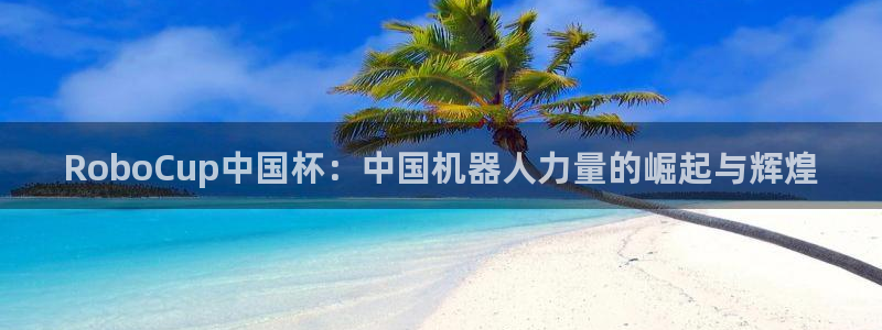 世界杯 赛程：RoboCup中国杯：中国机器人力量的崛起与辉煌