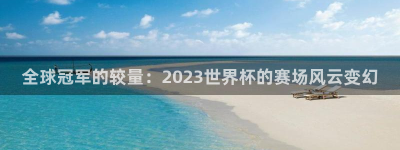 世界杯足球直播：全球冠军的较量：2023世界杯的赛场风云变幻